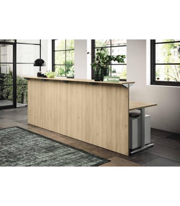 Reception lineare Teko gamba a T by Colombini