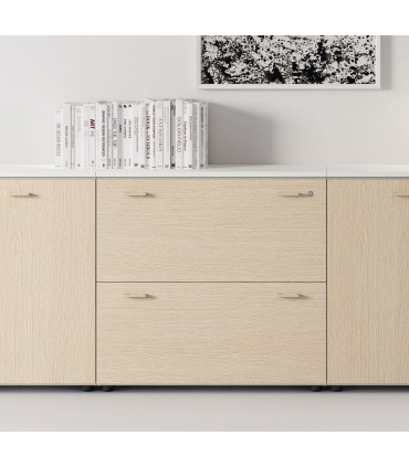 Mobile basso classificatore con serratura