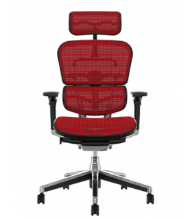 Poltrona operativa Ergohuman Elite by Procomfort