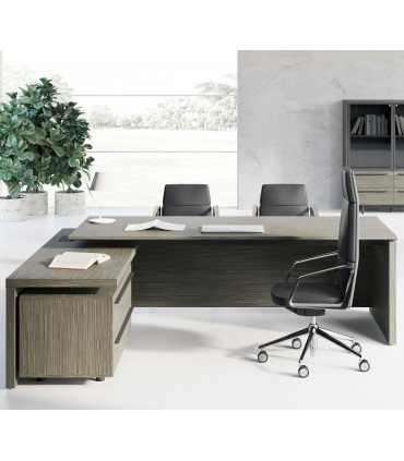 Scrivania direzionale E.O.S. by LAS