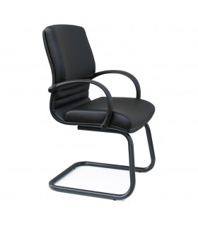 Poltrona interlocutoria Cygnus