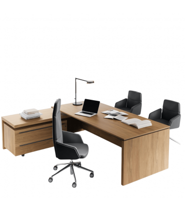 Scrivania direzionale E.O.S. by LAS