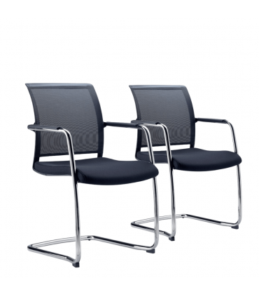 Coppia di sedie interlocutorie Zed48v by Milani